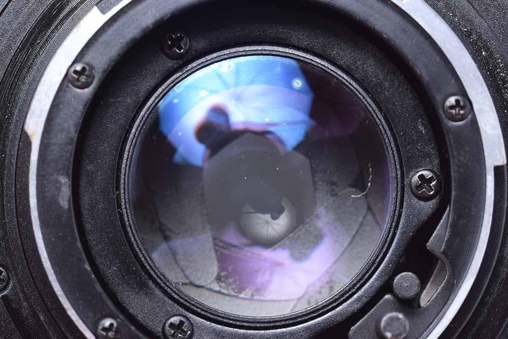 シーガル Seagull DF5000 ルイジ・コラーニ氏デザイン