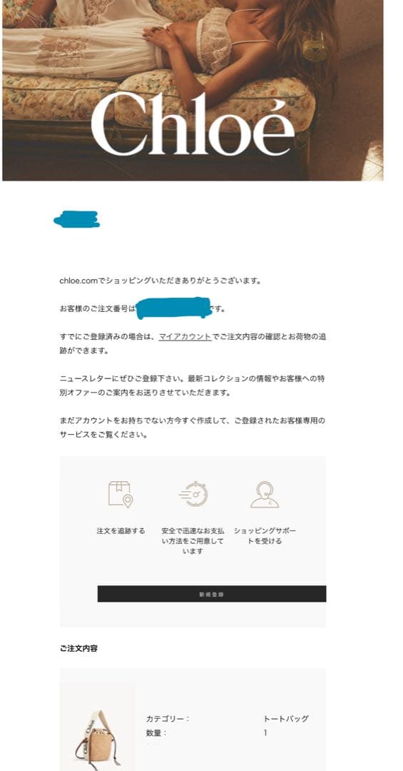 【立春値下げ⭐︎美品】クロエ Chloe Woody かごバッグ