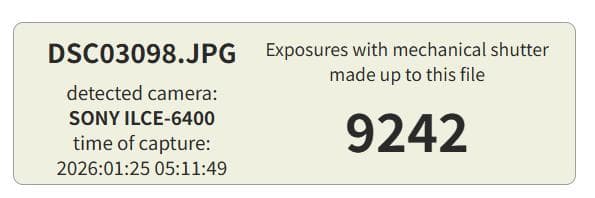 SONY α6400M ILCE-6400M 高倍率ズームレンズキット