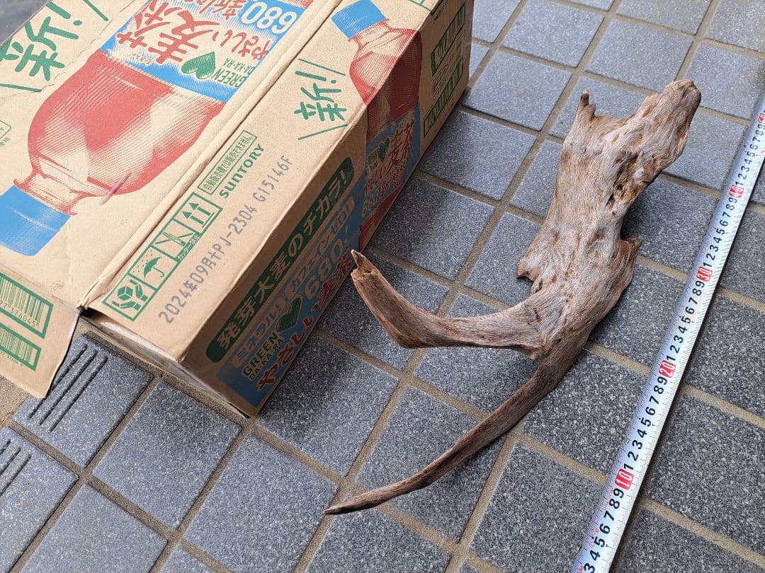 流木