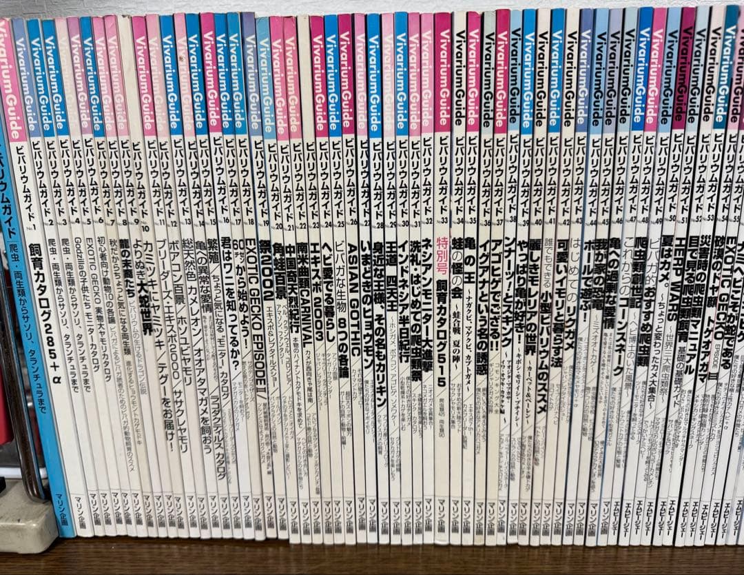 ビバリウムガイド　全巻　110巻までまとめて　爬虫類　本　雑誌