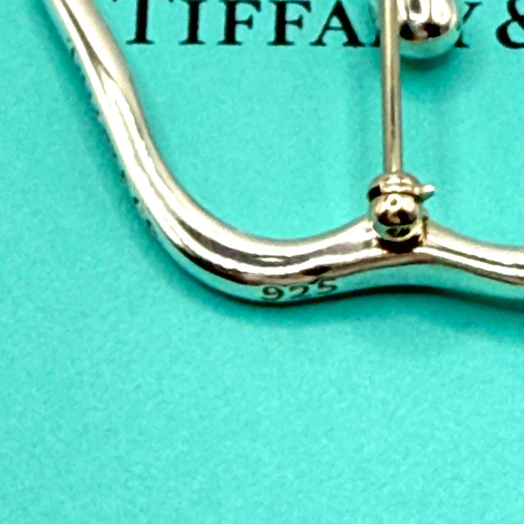 ★激レア★ティファニー アップル ラージ ブローチ シルバー リンゴ 大きい