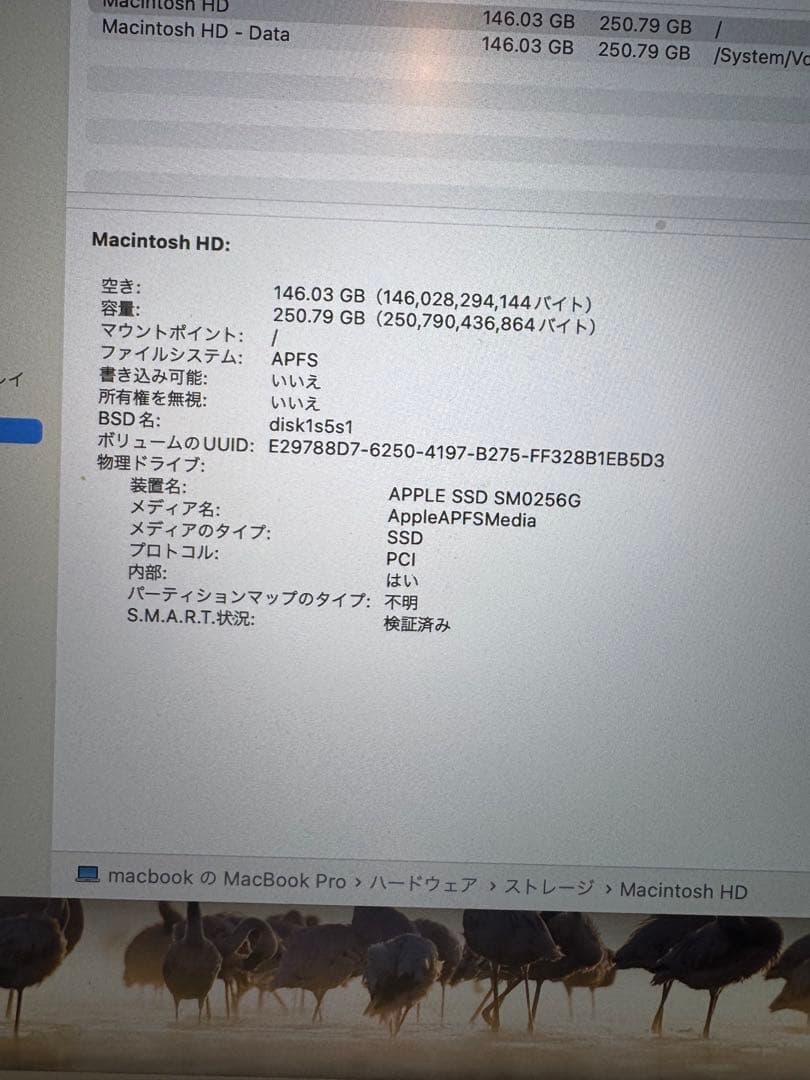 MacBook本体 MacBook Pro 2015 8GB/256GB