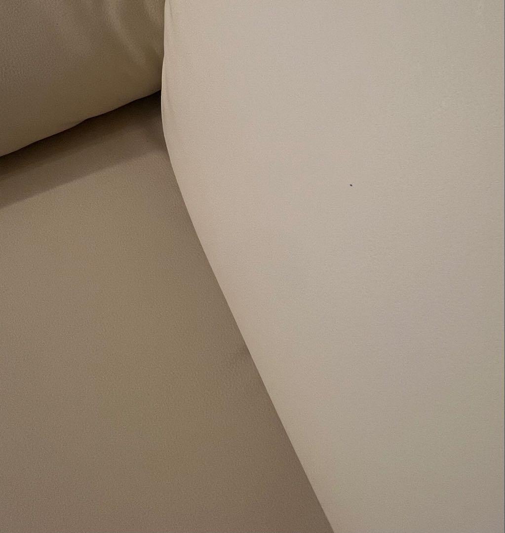 マユゲ犬　Flexispot 電動リクライニングソファ X5