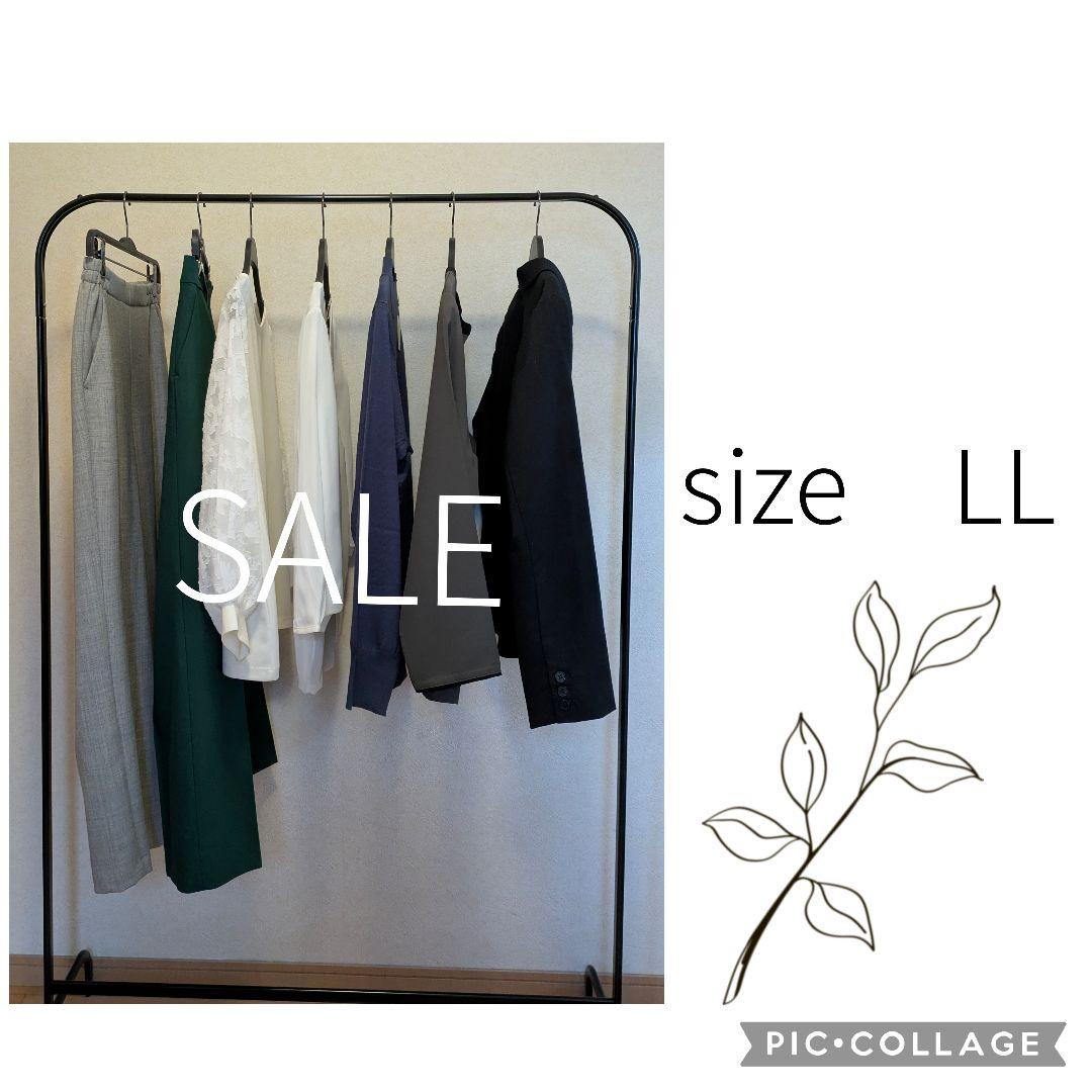 ゼラニウム　SALE LLサイズ中心　まとめ売り