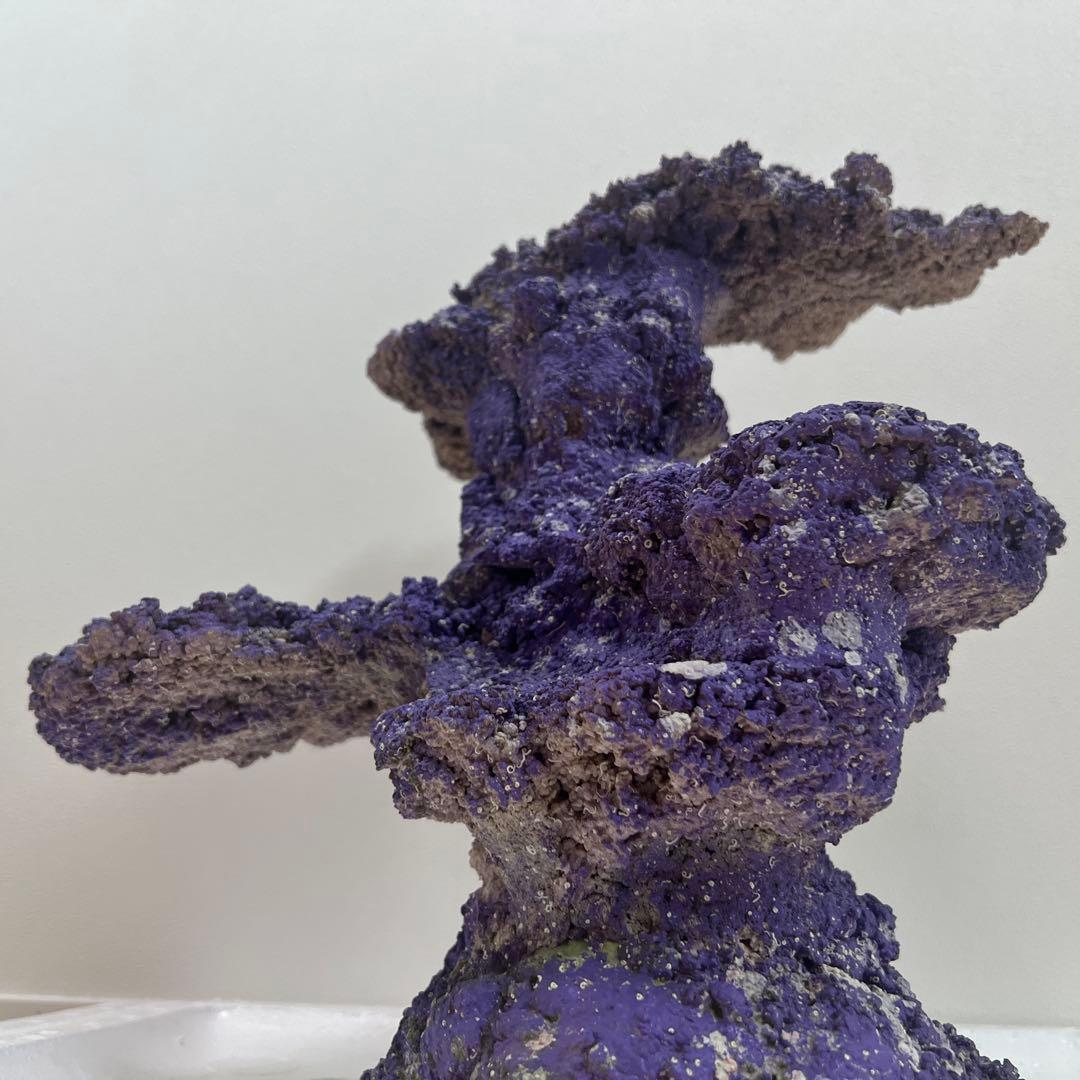 人口ライブロック 偽岩 レプリカライブロック サンゴ 人口 海水 水槽 ②