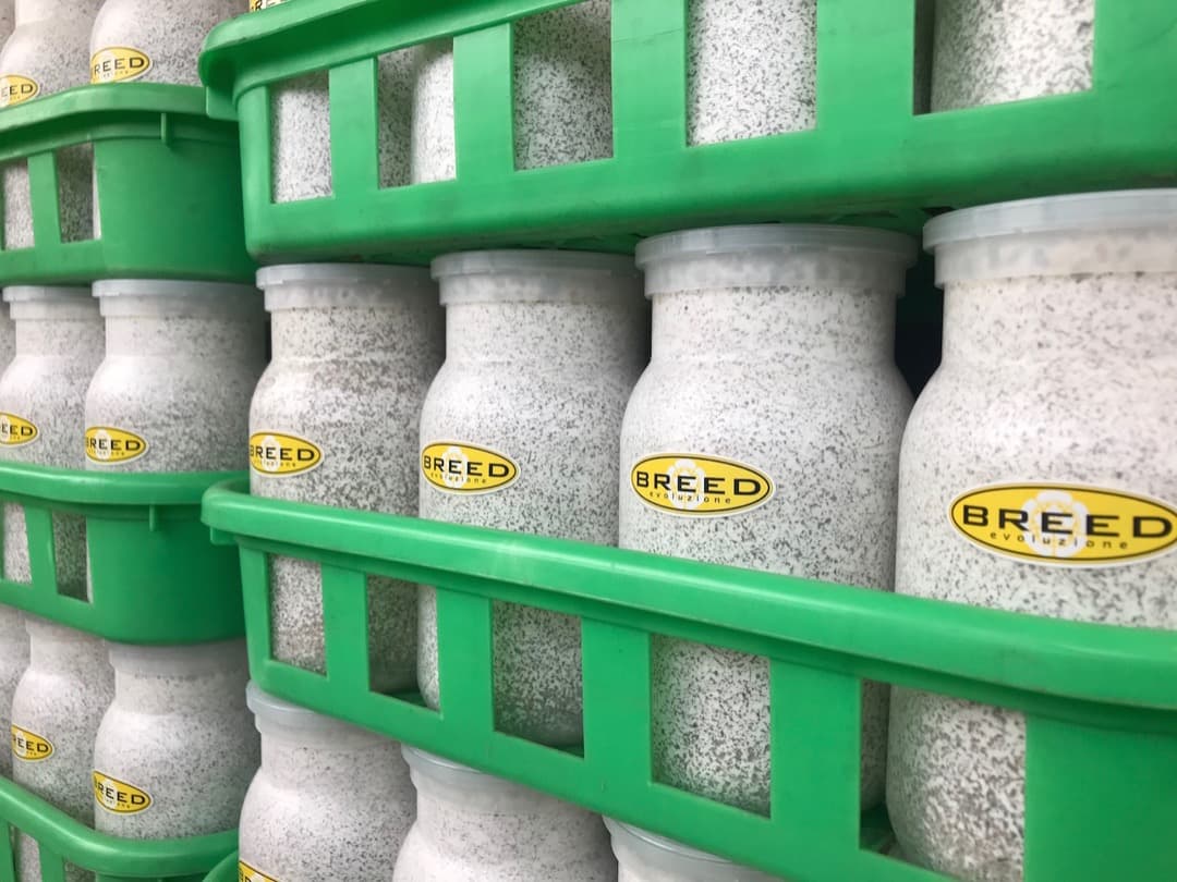 大型・美形クワガタ飼育用菌糸ビン　1500ml　24本セット（菌糸瓶）