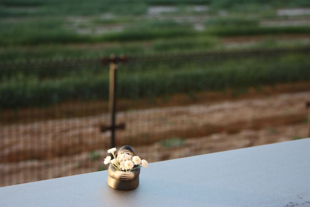 【ショット数極少】初心者にも人気Canon Kiss X2 動作良好