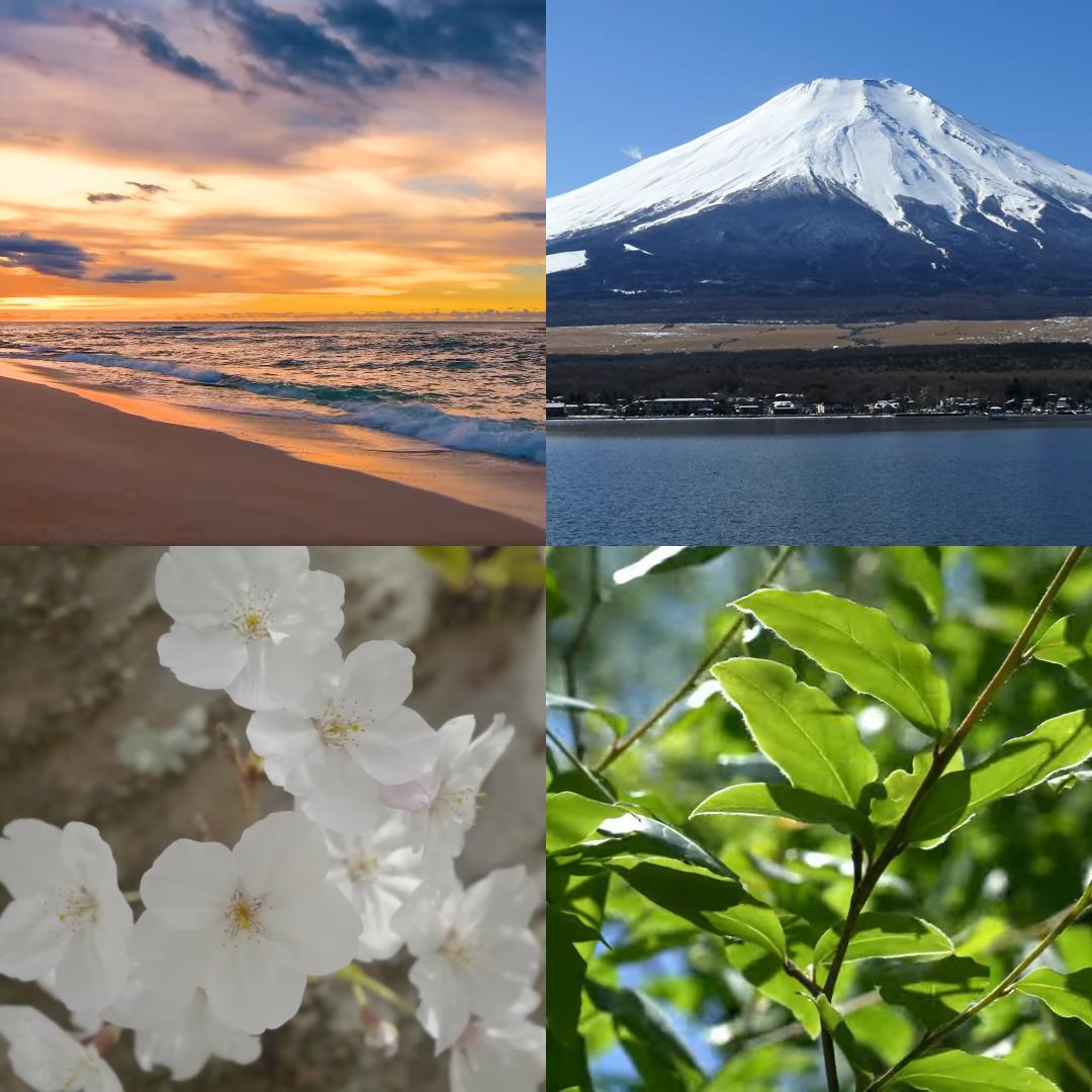 第6世代DynabookEX/85AG i7-6500U SSD256GM16G