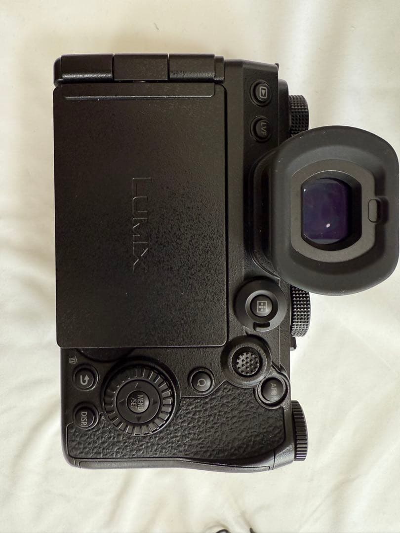 LUMIX s5Ⅱx 本体　純正バッテリー２つ