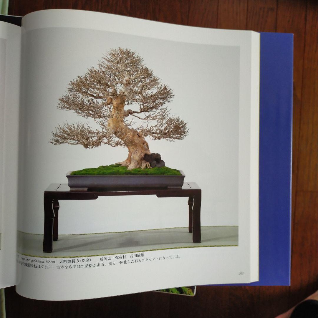 国風盆栽展　14冊