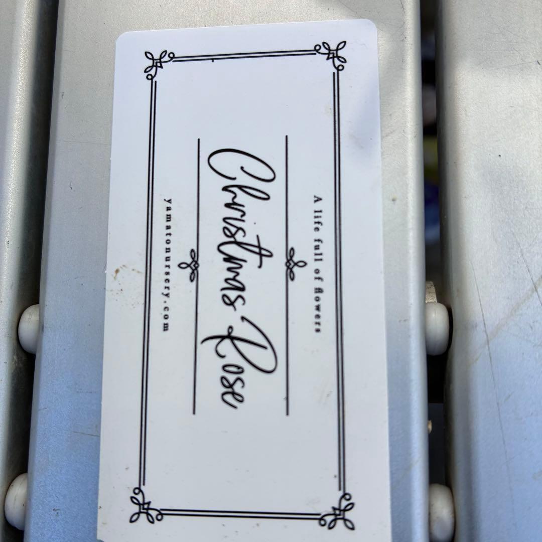 ラ*ク様 3469☘️花、タグ付き☘️⭐️あずき色⭐️小輪⭐️コロコロカップ⭐️