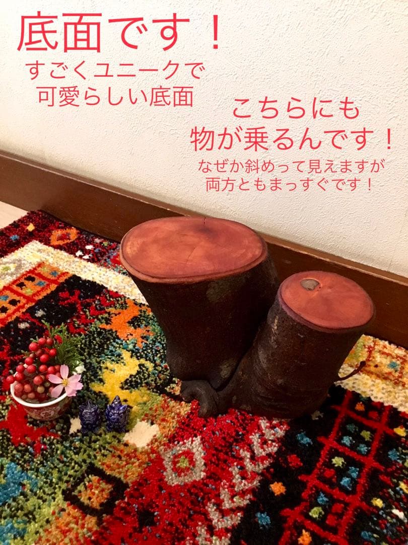 希少縁起木！天然木斛【年輪2つ！森と大自然の切り株飾り台】インテリア台＊植物台