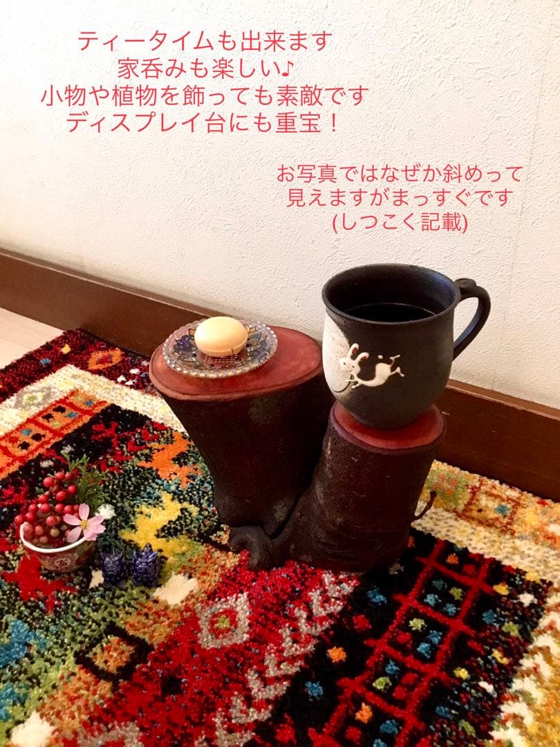 希少縁起木！天然木斛【年輪2つ！森と大自然の切り株飾り台】インテリア台＊植物台