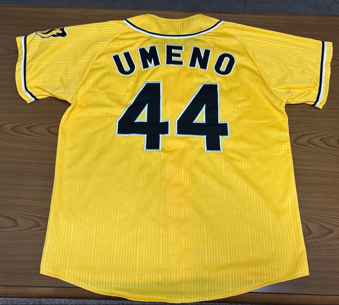 阪神タイガース　横田、梅野、岩崎、岩貞、中谷　2013ドラフト同期or九州人会