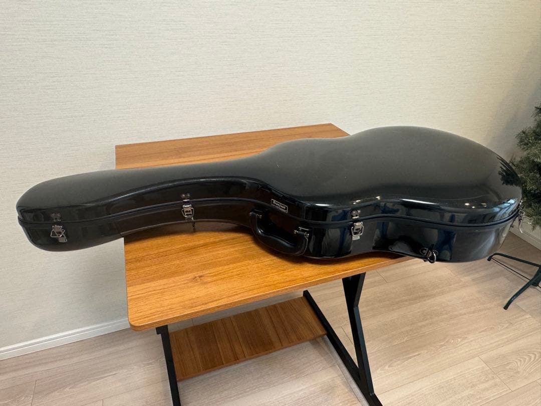 ホアン・エルナンデス Juan Hernandez Concierto 美品