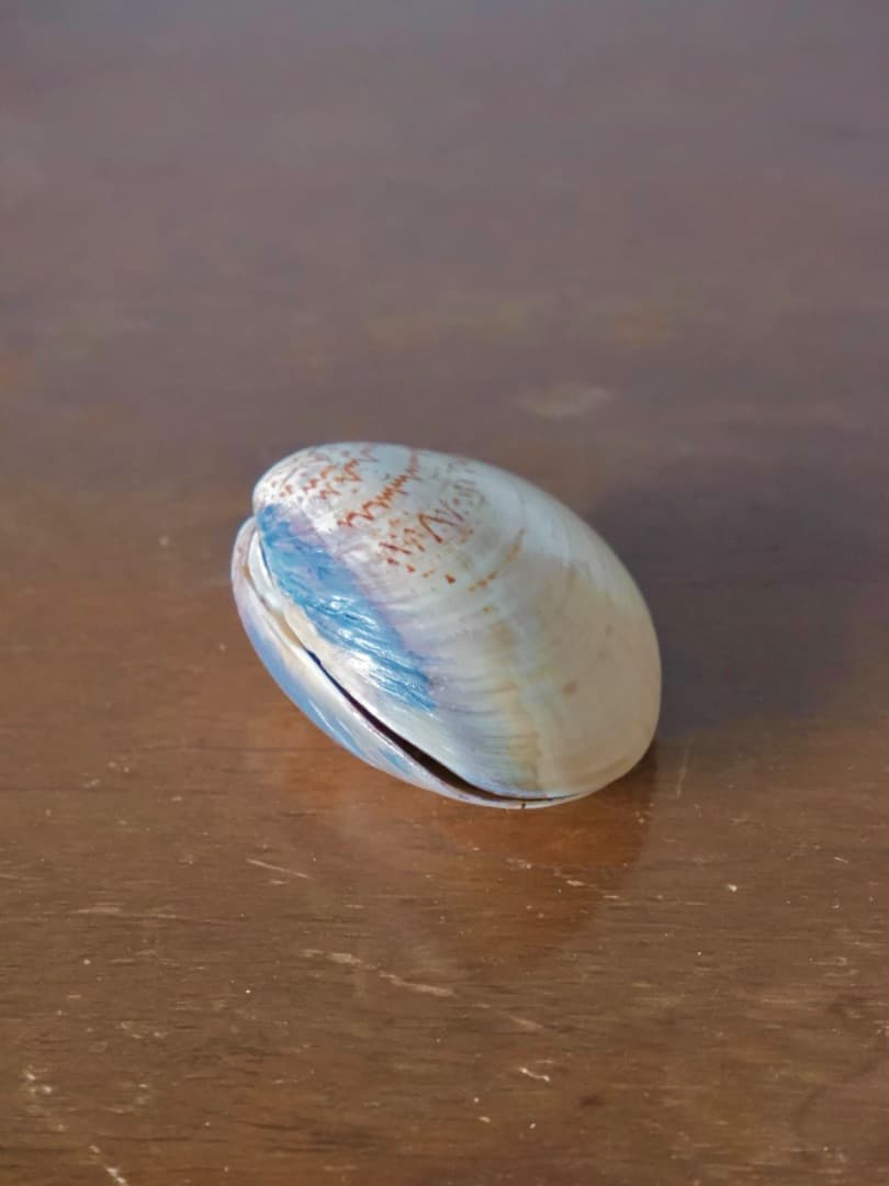 加陽　一瓢斎　源氏貝合せ　鶴色絵　蛤香合　茶道具　香道具　箱付　Q2257