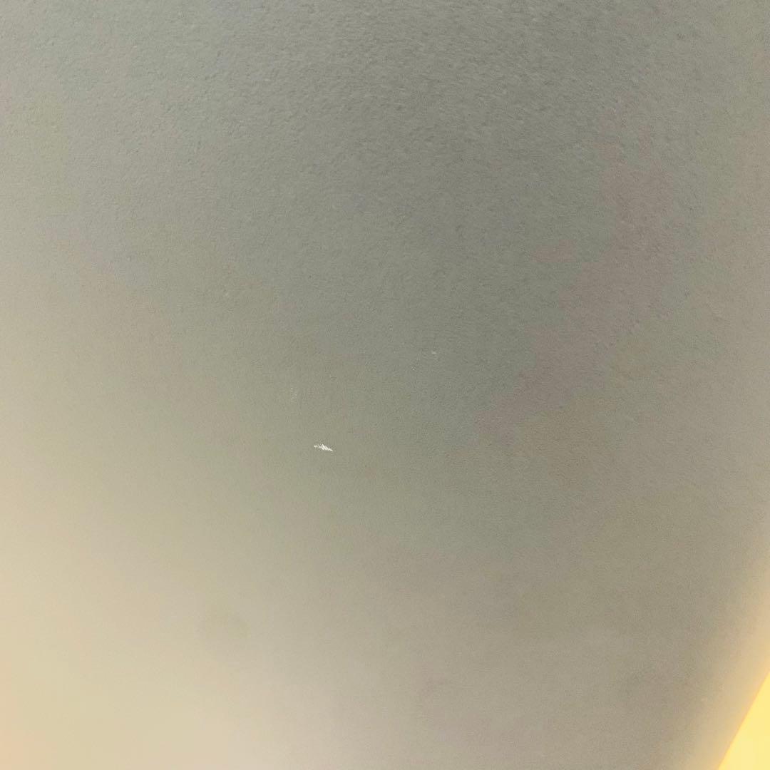 【ほぼ未使用】バルミューダ 空気清浄機 The Pure A01A-GR