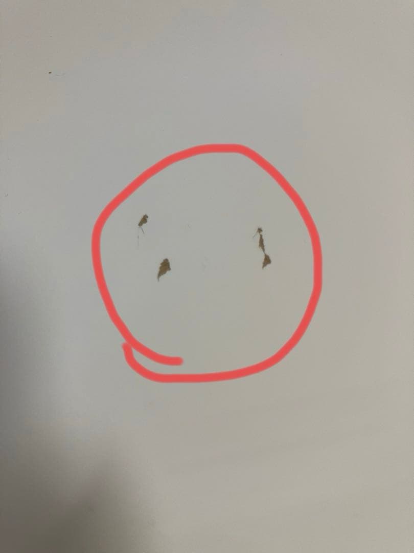 ニトリ ホワイトチェスト‼︎