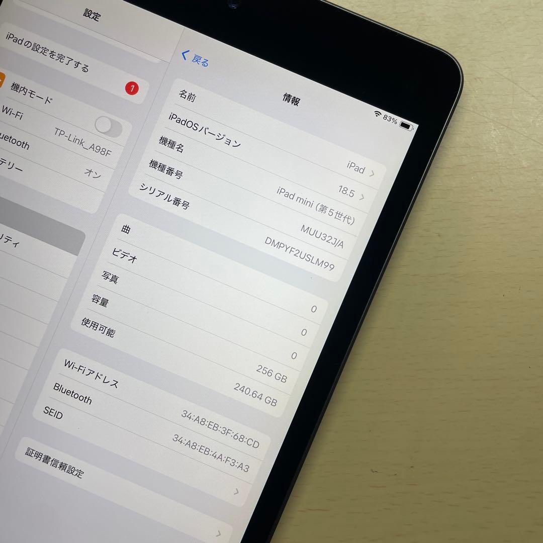 iPad mini5 第５世代　256GB Wi-Fi 割れなし