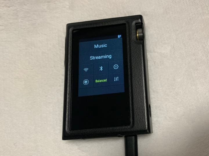 ONKYO DP-S1 純正ケース付き/ Pioneer SE-CH5BL