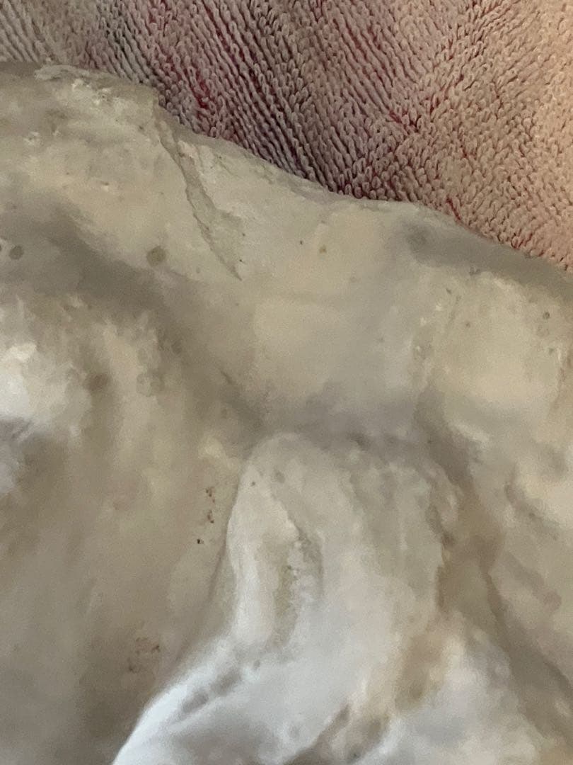 石膏像　モーゼ大顔面　基礎デッサン美大受験