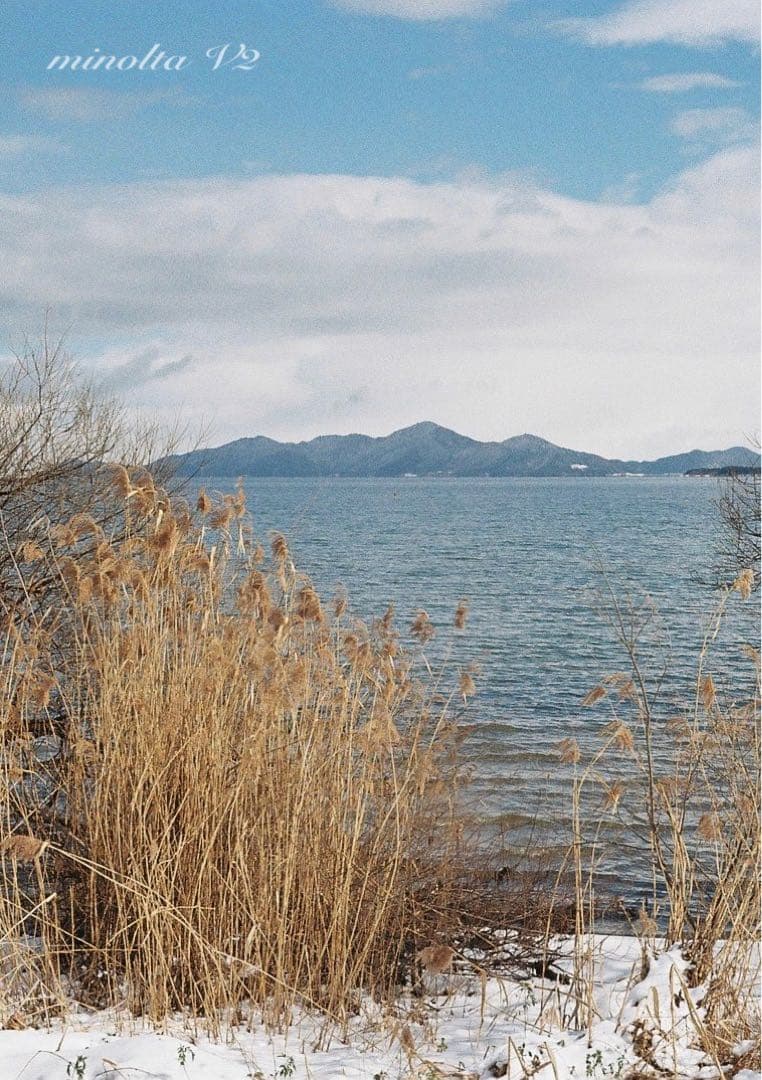 ★完動品＊美品＊希少品★minolta V2★初期保証★作例多数