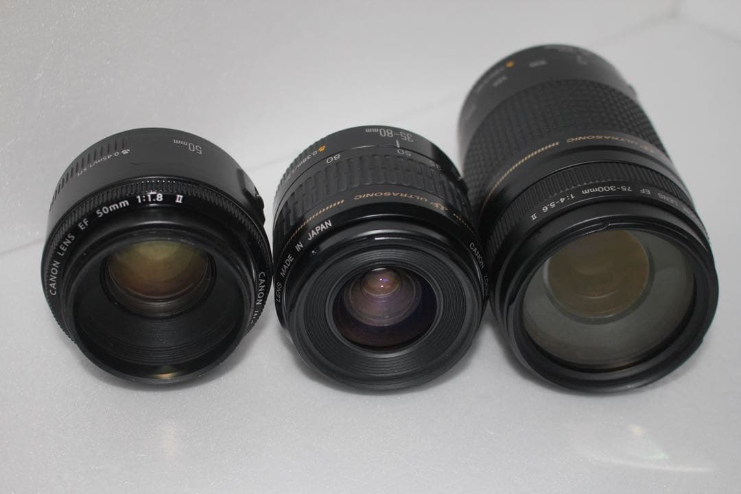 デジタル一眼レフカメラCanon EOS 90D標準&望遠&単焦点レンズセット