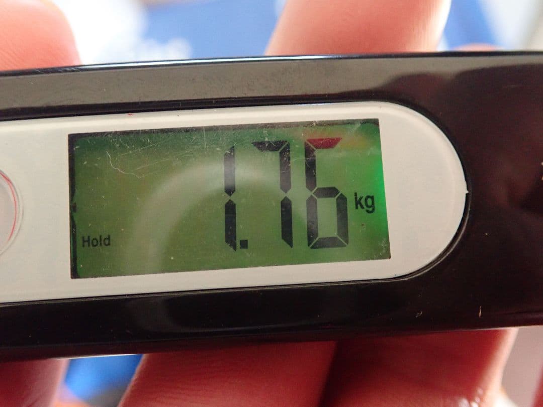 ゴアライズ2 アライテント