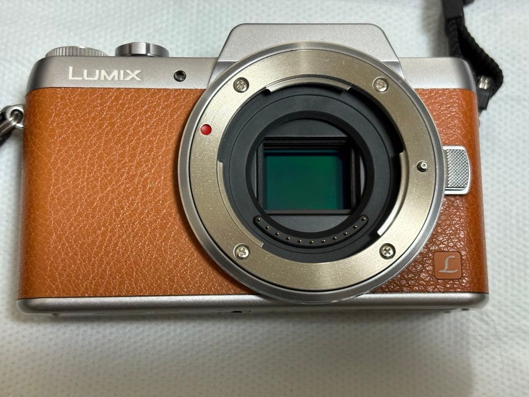 デジタルカメラ lumix gf7w