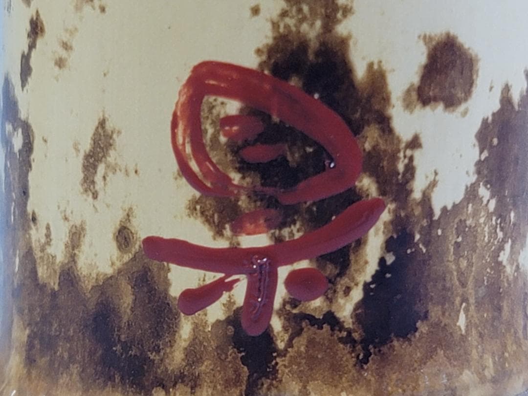 茶道具 竹蓋置 一双 大徳寺 書付 美品 DT474