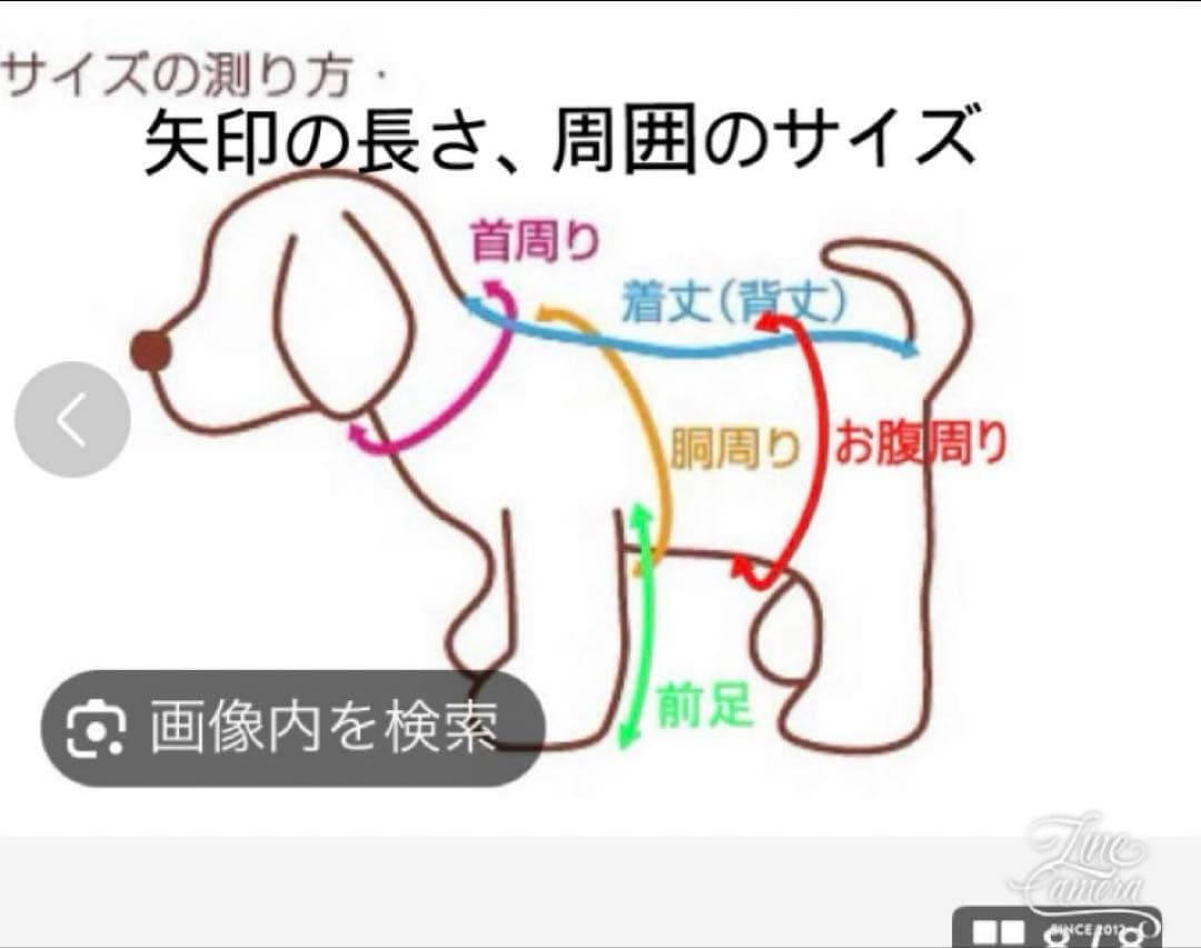 B459.pon2pan2☆犬お着物☆犬オーダーお着物☆2ウェイお着物