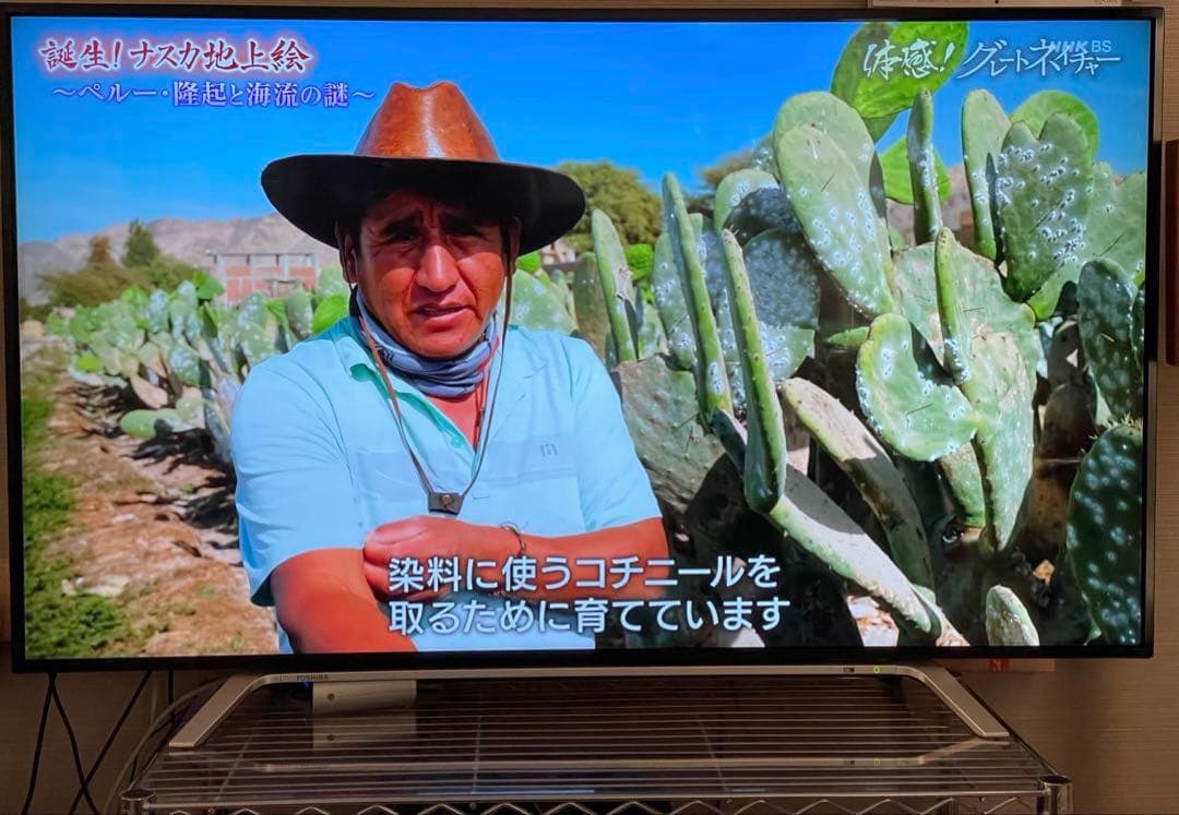 テレビ REGZA 55Z700X