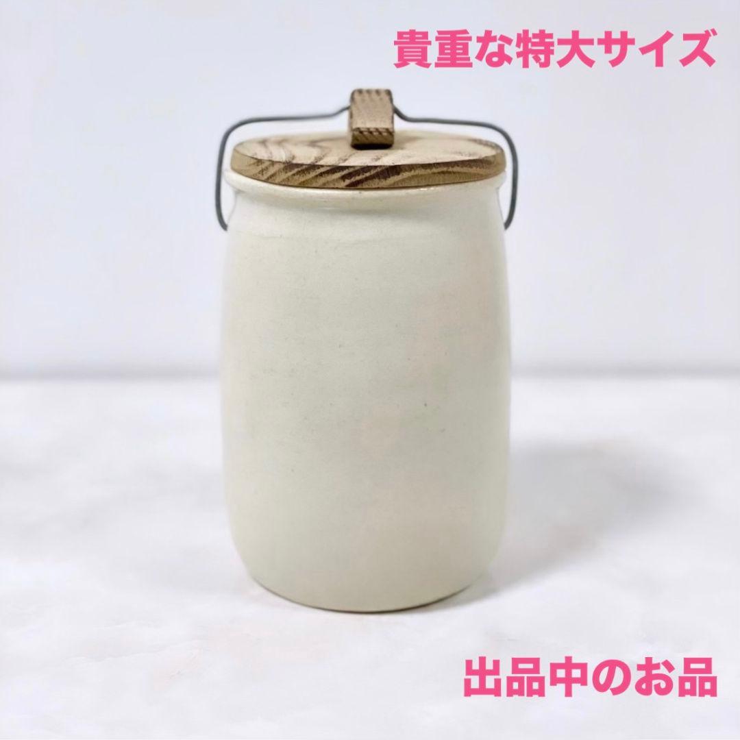 希少 黒川登紀子 ペールピンク×クリア1枚 伊藤聡信鈴木環河合竜彦辻和美八木麻子