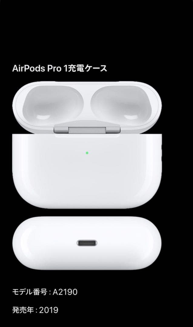 Apple AirPods Pro 第1世代 本体【純正品】
