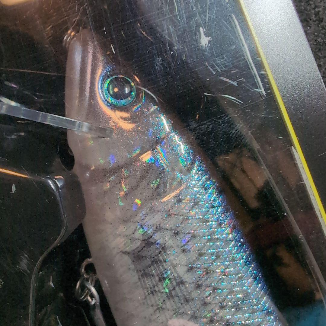 【デプス】キープキャスト限定ルアー　ハイサイダー172 リューギコラボ　ケタバス