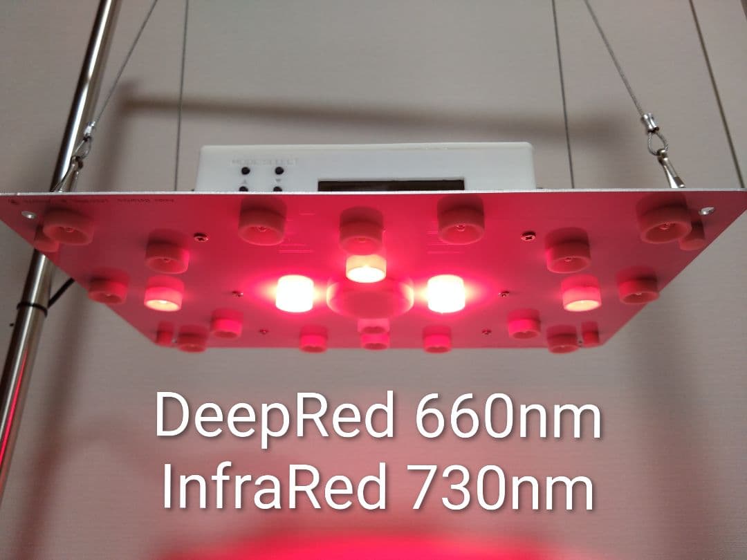 【L10W】多肉&塊根育成　水槽照明　タイマー付LEDライト（DC専用）