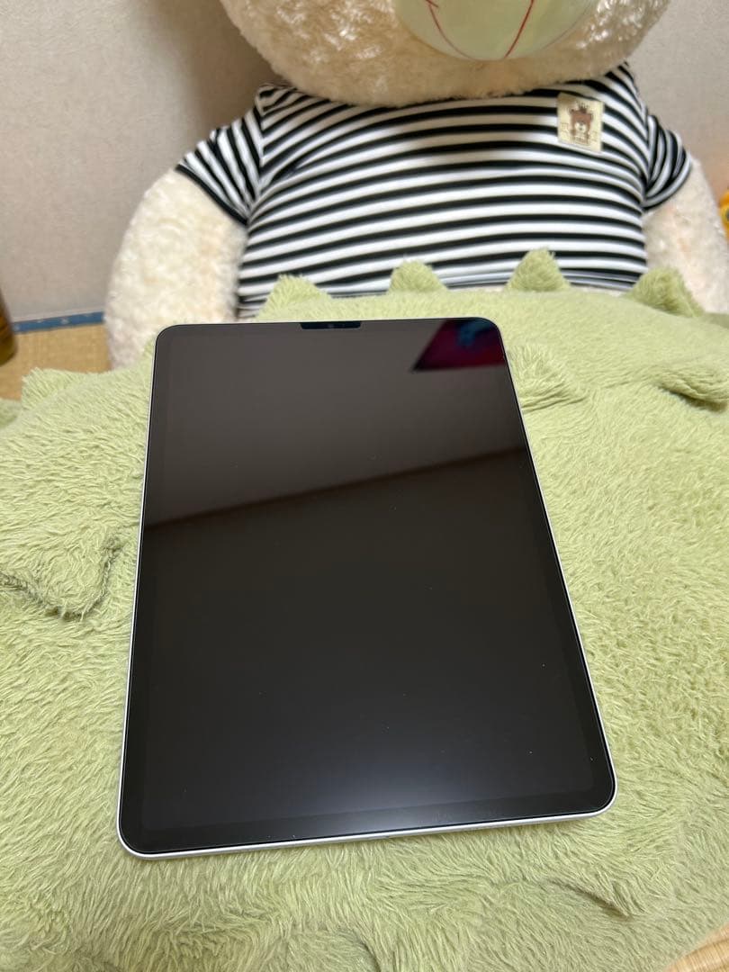 iPad Pro (11 inch) （第3世代）