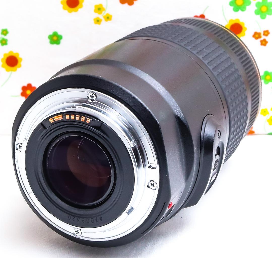 美品 Canon EF 75-300mm IS USM☆望遠レンズ☆フィルター付