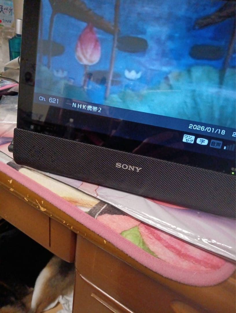 SONY ポータブルテレビBDP-Z1