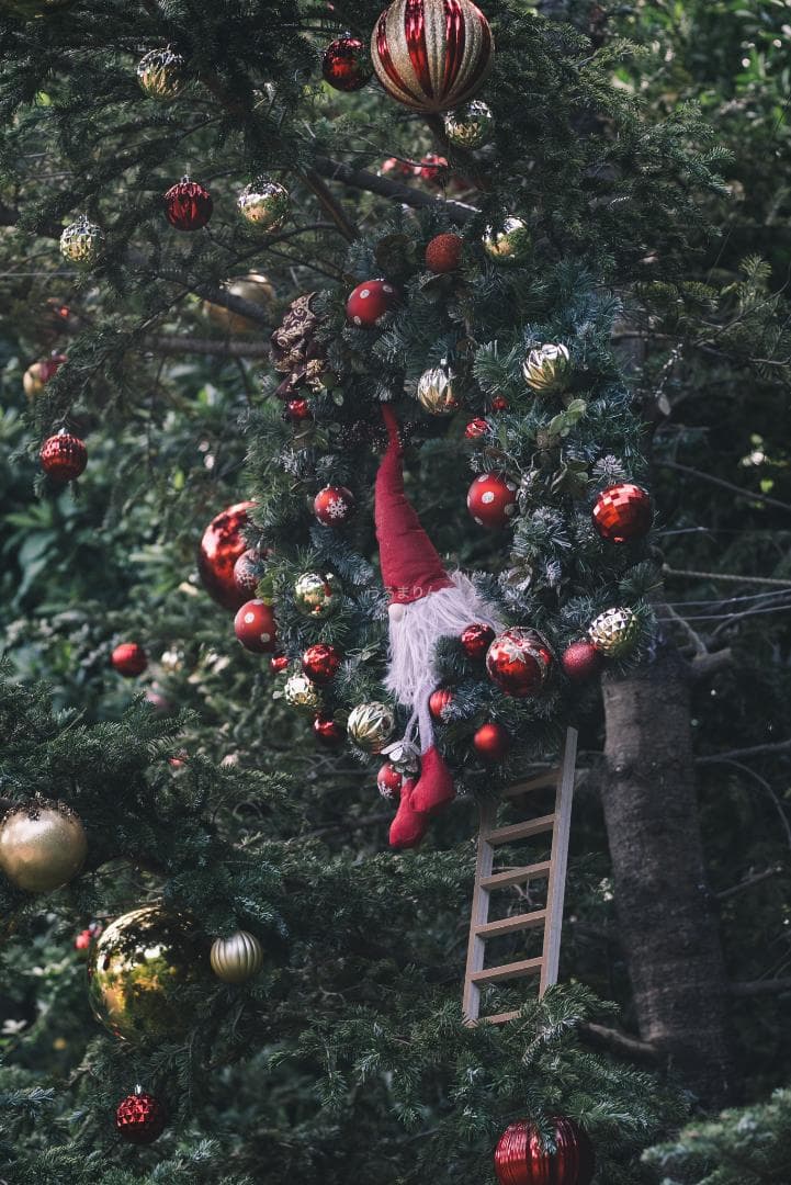 良品！Leica SUMMICRON 90mm 2nd 後期 オールドレンズ