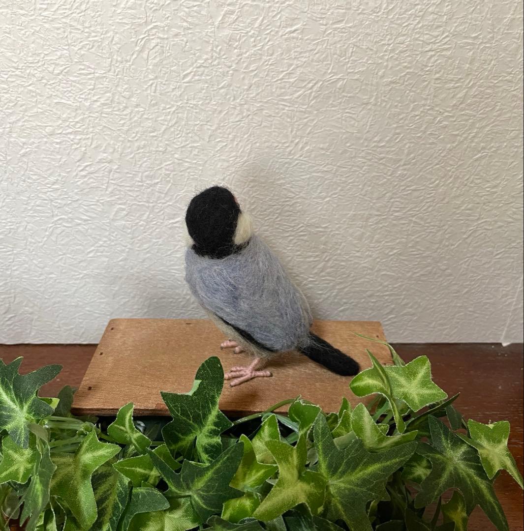 小さな文鳥たち