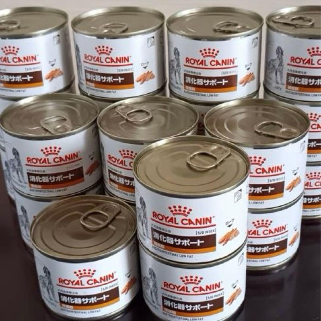  CANIN 消化器サポート 低脂肪 21缶