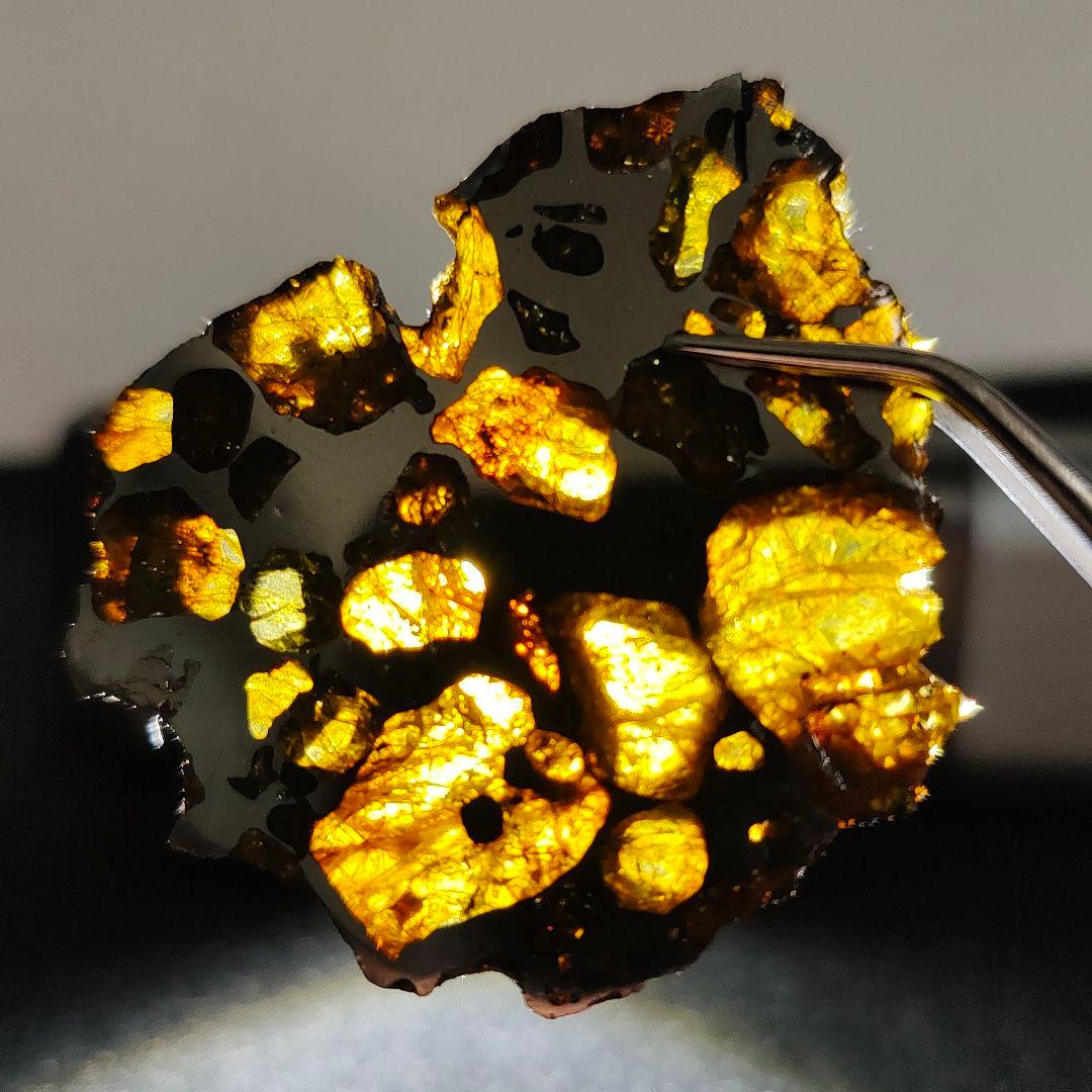 【パラサイト隕石】イミラック隕石20g ケース&ネームカード付き NO.409