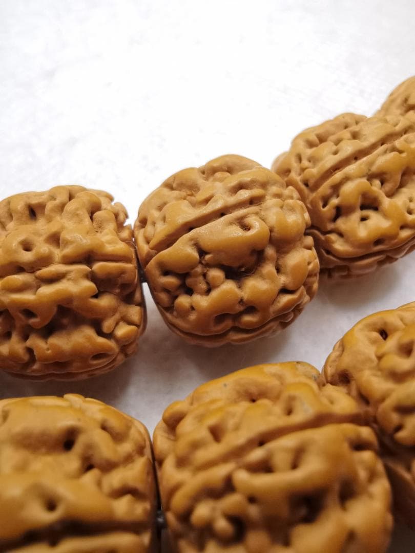 【高級品】文玩 形揃い ルドラクシャ 金剛菩提108数珠 念珠 14mm 超大玉