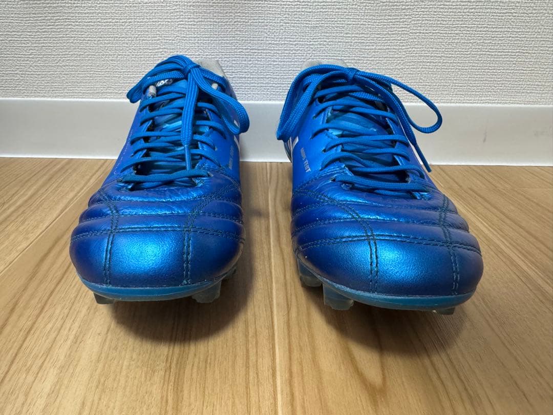 シューズ asics DS LIGHT X-FLY5 25cm