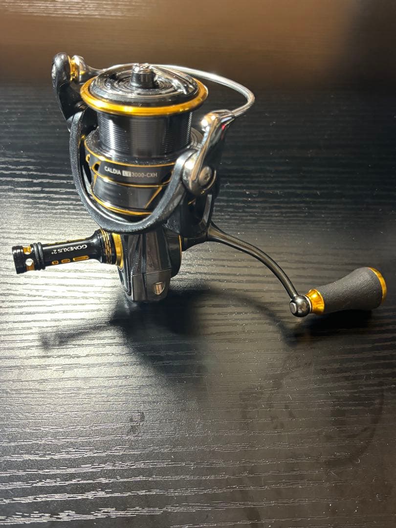 21 カルディア　LT3000-CXH