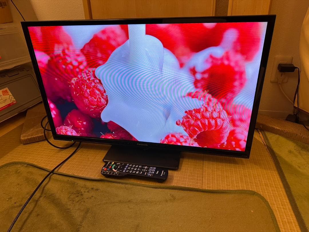 Panasonic　パナソニック 32型 テレビ TH-32J300HT 22年