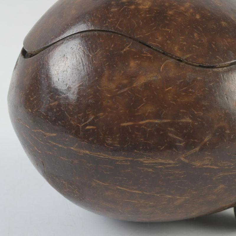 茶道具　椰子の実　内金溜　菓子器　時代箱　M　9853