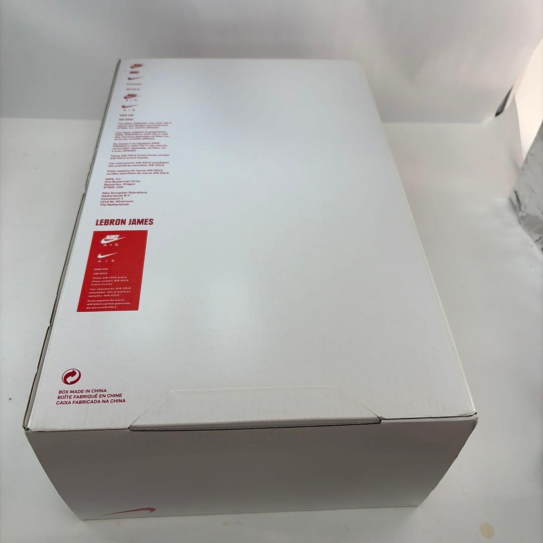 Nike LeBron ９レトロ リーガルピンク シューズ(男性用)２９センチ